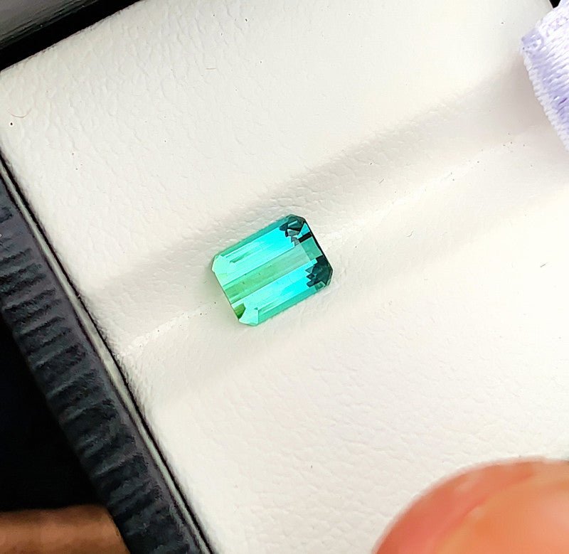Bi - color Green Tourmaline - 0.95 ct