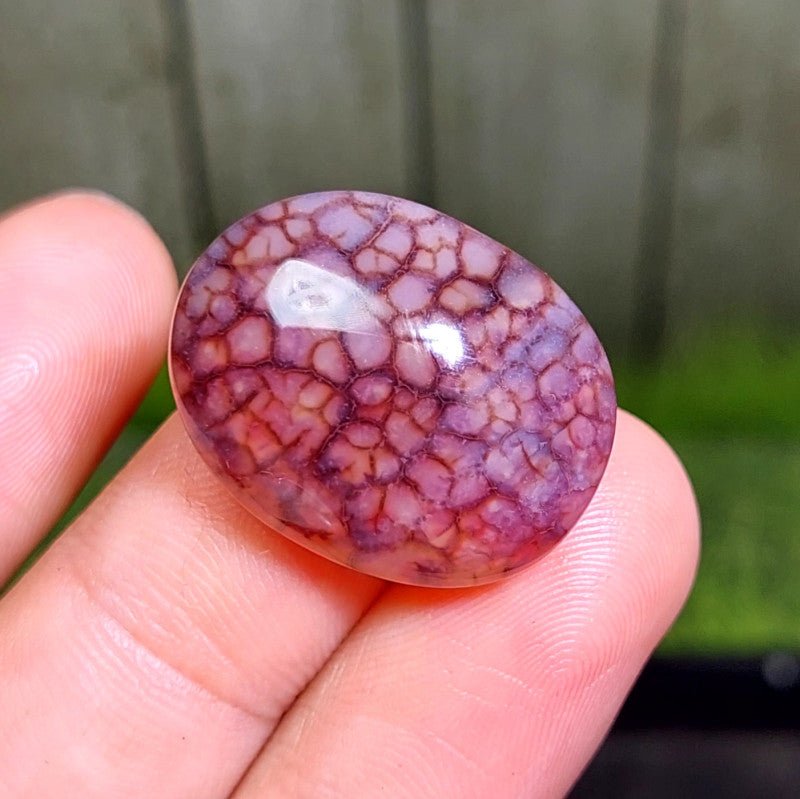 Cabochon Dragon Skin Chalcedony Agate - 29.65 ct