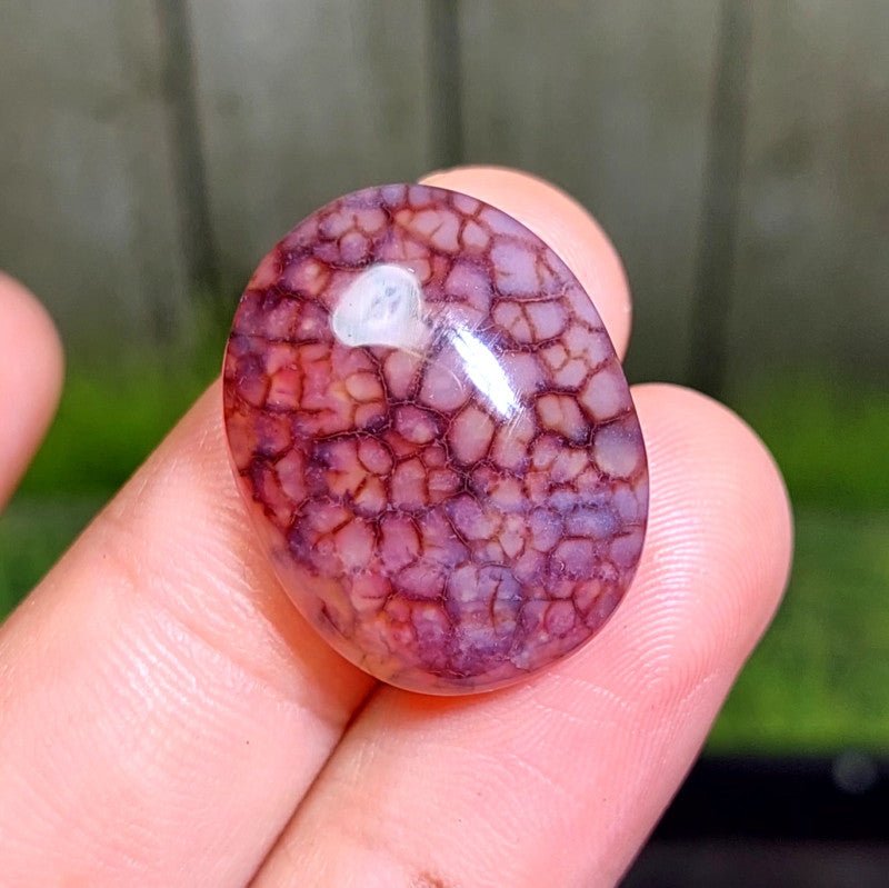 Cabochon Dragon Skin Chalcedony Agate - 29.65 ct