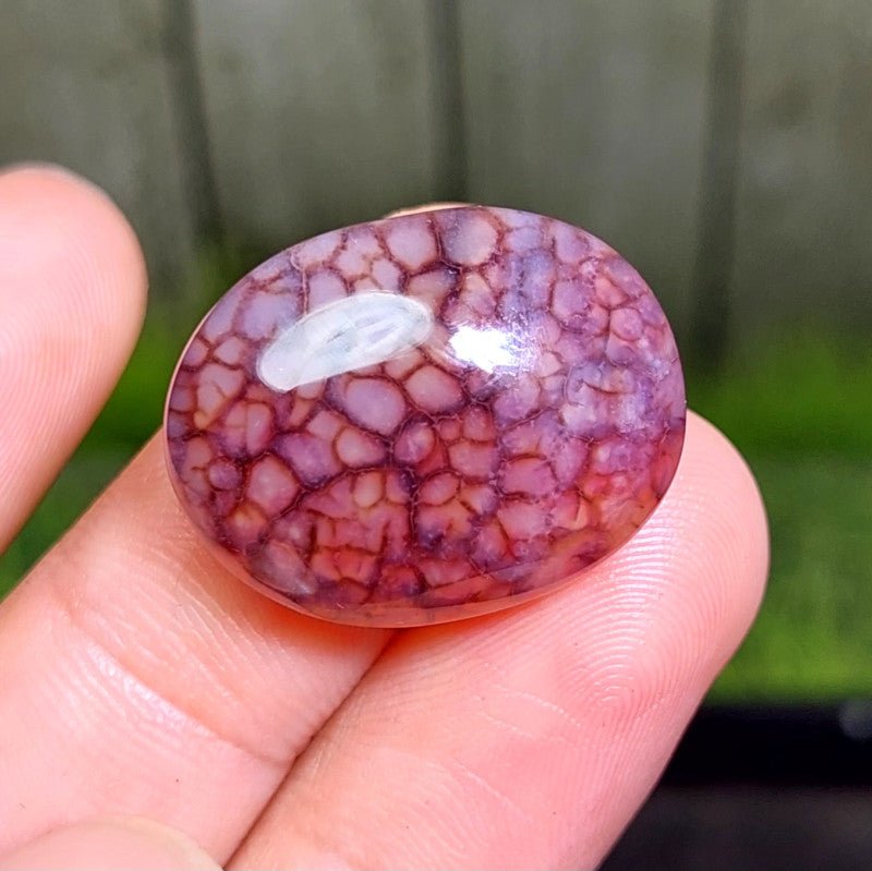 Cabochon Dragon Skin Chalcedony Agate - 29.65 ct