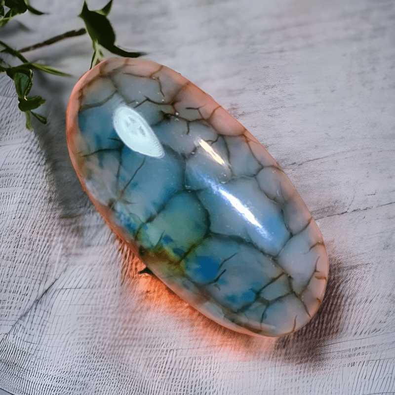 Cabochon Dragon Skin Chalcedony Agate - 32.60 ct