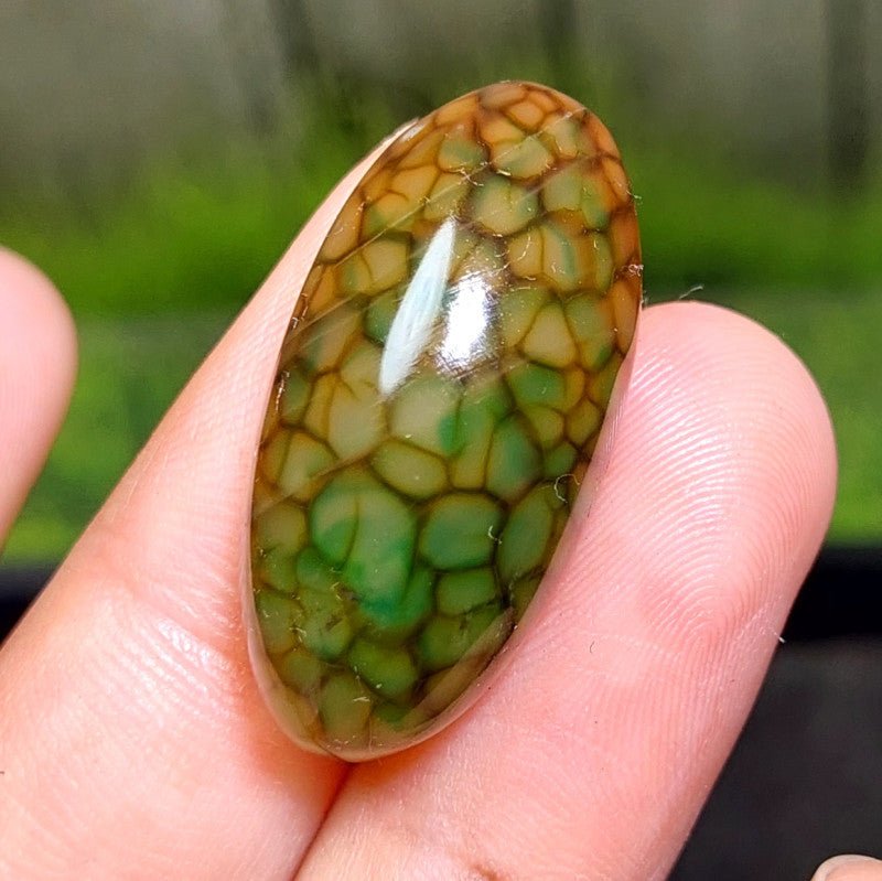 Cabochon Dragon Skin Chalcedony Agate - 35.85 ct