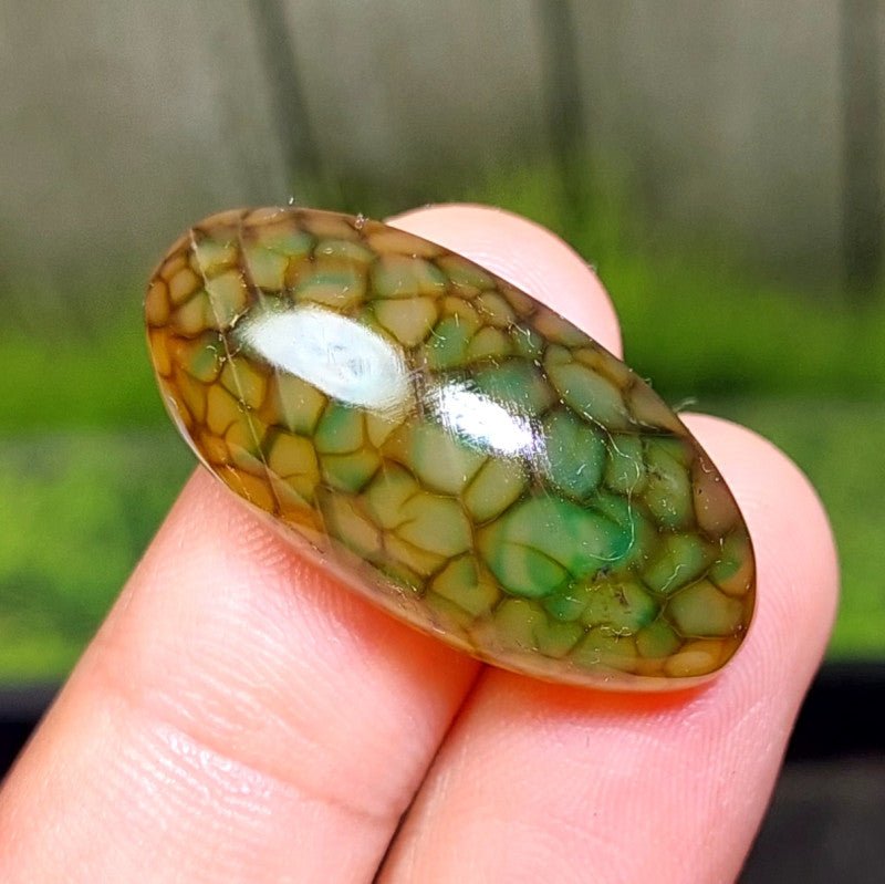 Cabochon Dragon Skin Chalcedony Agate - 35.85 ct