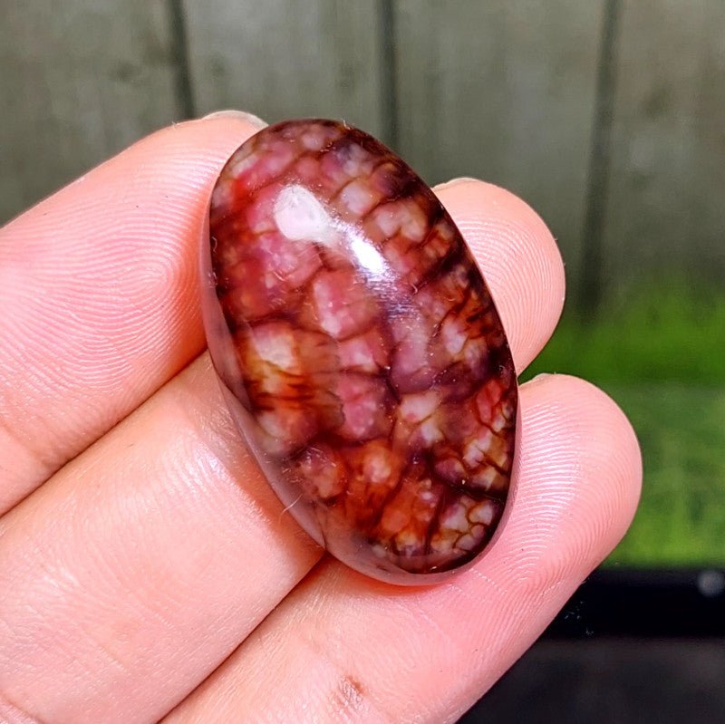 Cabochon Dragon Skin Chalcedony Agate - 44.10 ct