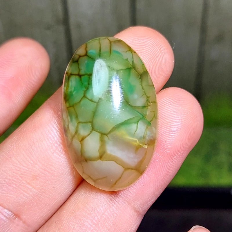 Cabochon Dragon Skin Chalcedony Agate - 50.00 ct