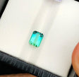 Bi - color Green Tourmaline - 0.95 ct