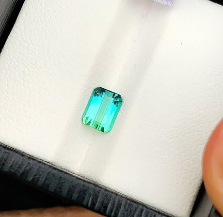 Bi - color Green Tourmaline - 0.95 ct