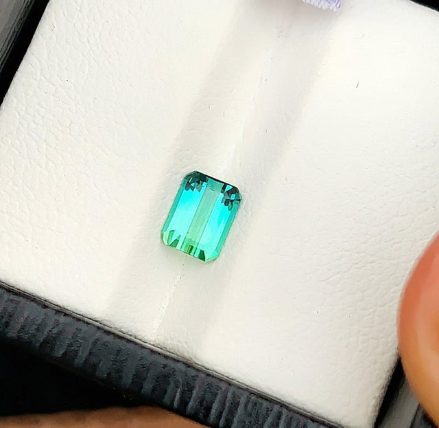 Bi - color Green Tourmaline - 0.95 ct