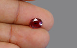 Burma Ruby - 1.54 ct