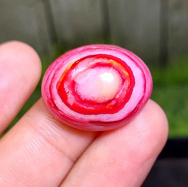 Cabochon Agate - 31.75 ct
