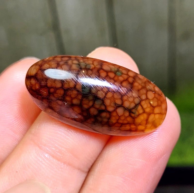 Cabochon Dragon Skin Chalcedony Agate - 27.95 ct