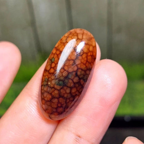 Cabochon Dragon Skin Chalcedony Agate - 27.95 ct