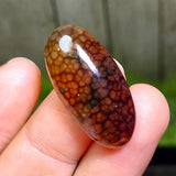 Cabochon Dragon Skin Chalcedony Agate - 27.95 ct