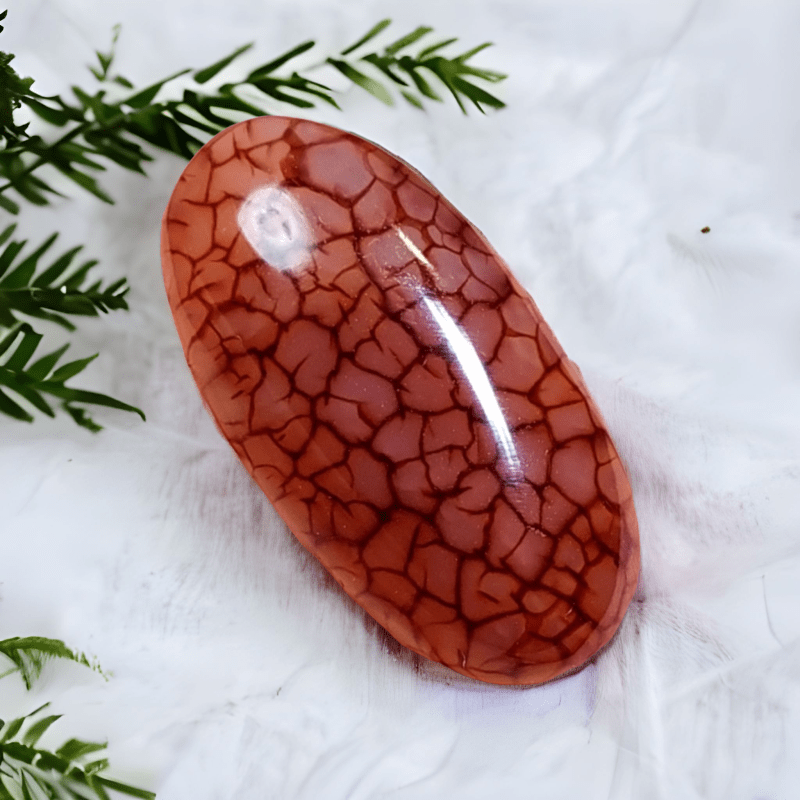 Cabochon Dragon Skin Chalcedony Agate - 28.10 ct