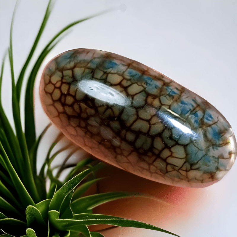 Cabochon Dragon Skin Chalcedony Agate - 31.20 ct