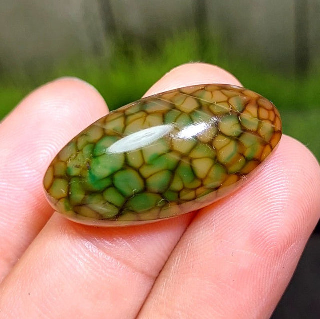Cabochon Dragon Skin Chalcedony Agate - 35.85 ct