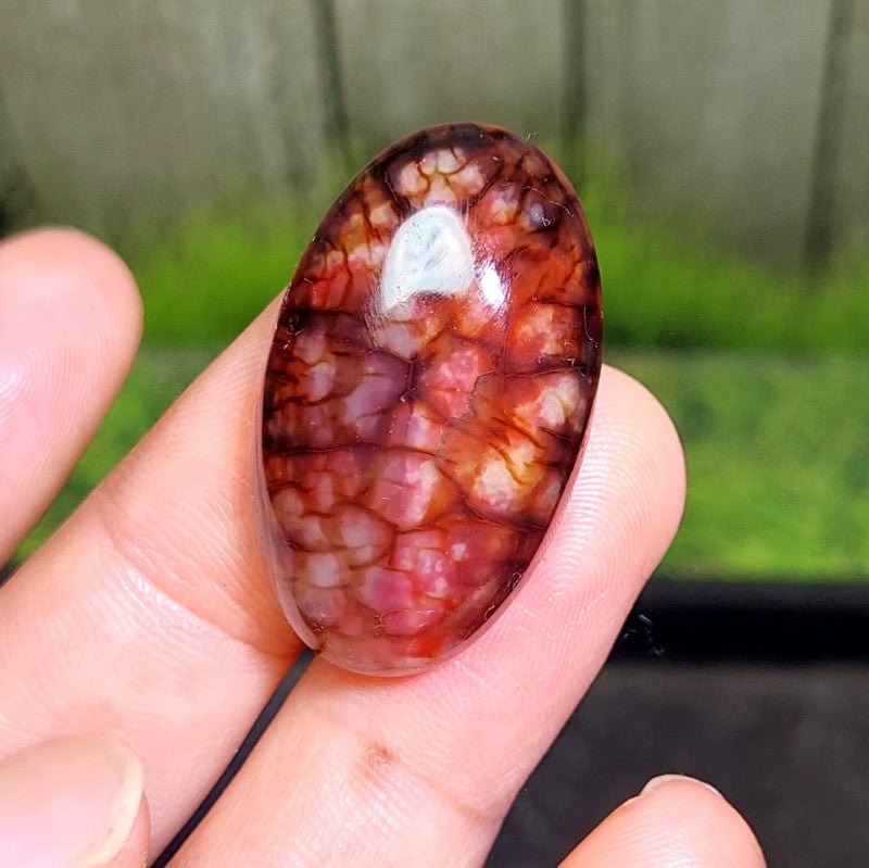 Cabochon Dragon Skin Chalcedony Agate - 44.10 ct