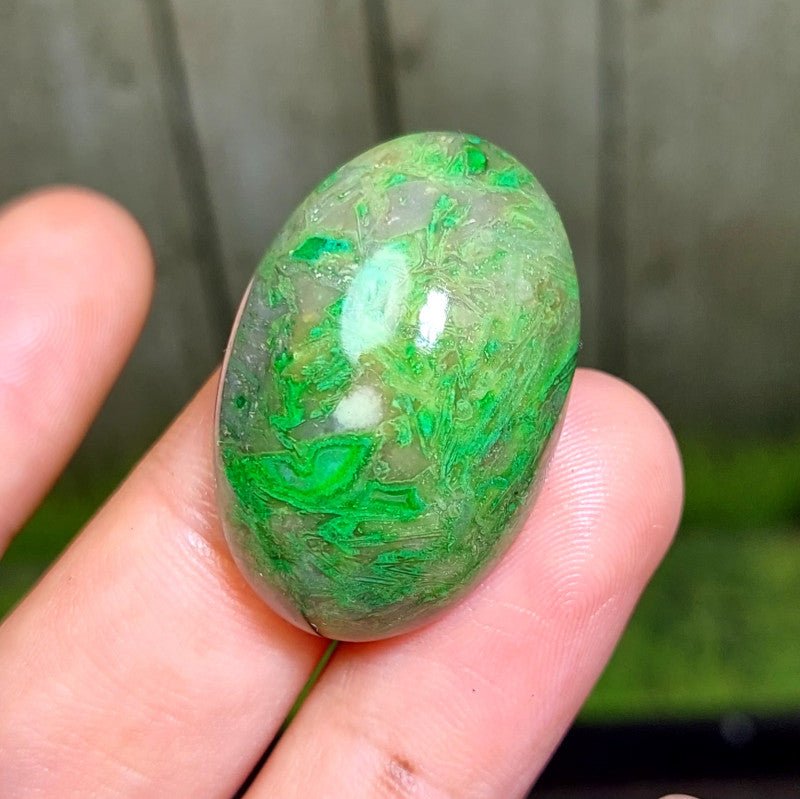 Cabochon Dragon Skin Chalcedony Agate - 46.00 ct