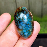 Cabochon Dragon Skin Chalcedony Agate - 46.65 ct