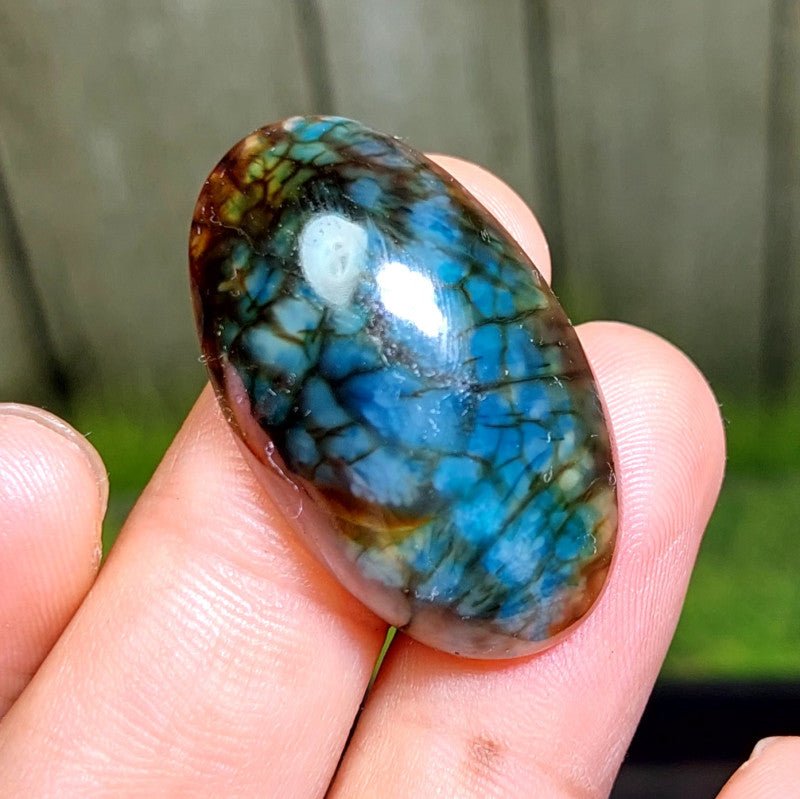 Cabochon Dragon Skin Chalcedony Agate - 46.65 ct