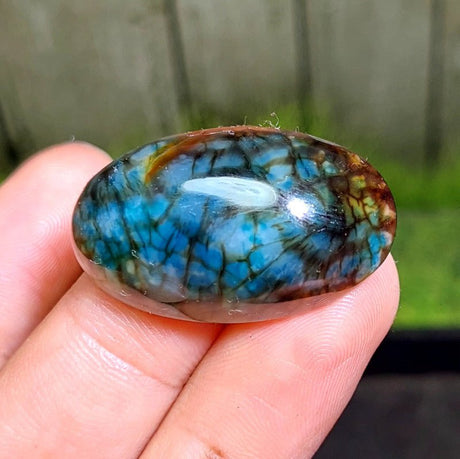Cabochon Dragon Skin Chalcedony Agate - 46.65 ct