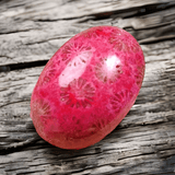 Cabochon Fossil Coral Agate - 21.95 ct