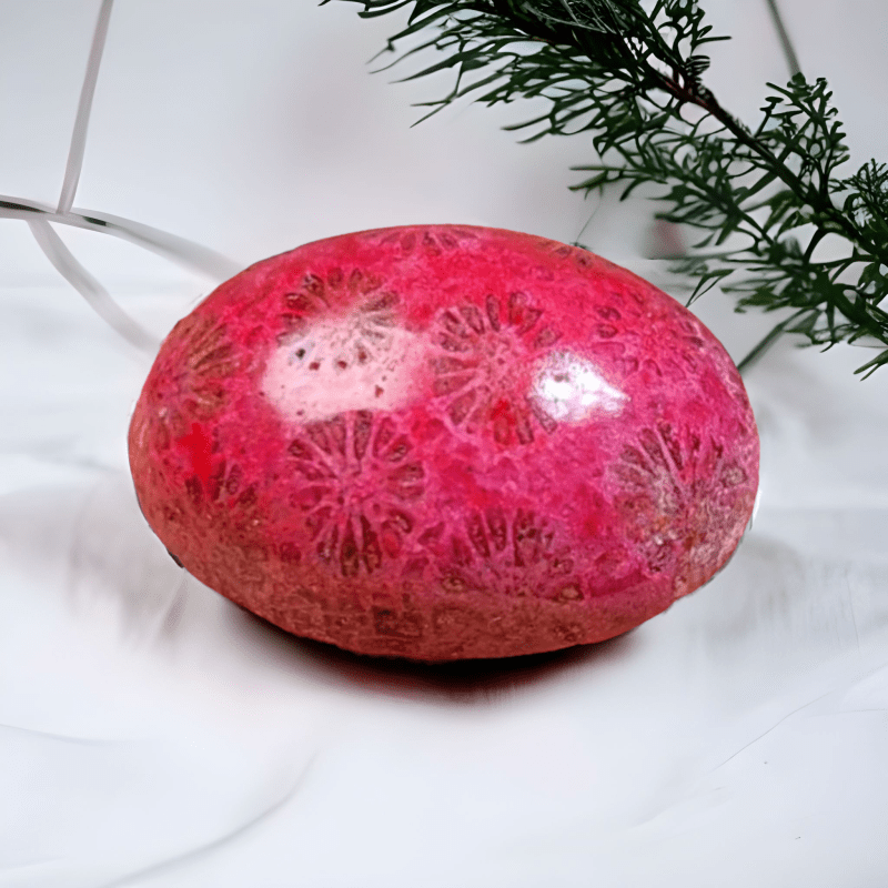 Cabochon Fossil Coral Agate - 21.95 ct