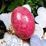 Cabochon Fossil Coral Agate - 21.95 ct