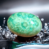 Cabochon Fossil Coral Agate - 28.15 ct