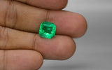 Colombia Emerald - 4.61 ct