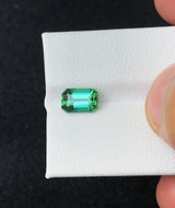 Green Tourmaline - 1.58 ct