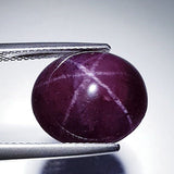 Natural Garnet 15.17 ct – Star Cabochon, Untreated