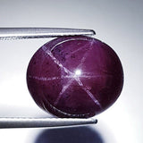 Natural Garnet 15.17 ct – Star Cabochon, Untreated