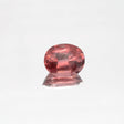 Natural Red Apatite 3.68 ct – Light Orangy Red, Oval Cut, Untreated