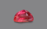Padparadscha Sapphire - 1.52 ct