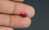 Pigeon Blood Burma Ruby - 1.80 ct