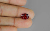 Pigeon Blood Mozambique Ruby - 4.02 ct