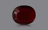 Pigeon Blood Mozambique Ruby - 5.04 ct