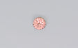 Pink Zircon 0.81 ct – Round Cut, Heated