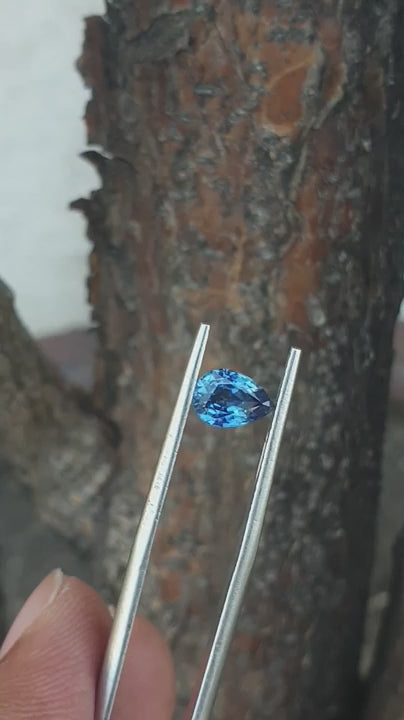 A natural blue sapphire gemstone being held by tweezers, displayed against a leafy background.