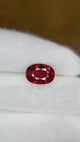 Natural Mozambique ruby, 4.09 carats, oval brilliant cut, vivid Pigeon Blood red, untreated, GRS certified