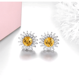 Silver 2.00 ct Citrine Earrings