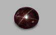 Star Garnet 30.15 ct – Deep Red, Oval Cabochon, Untreated