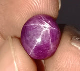 Star Ruby 13.80 ct – Purplish Red, Oval Cabochon, Untreated