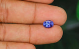 Tanzanite - 1.66 ct
