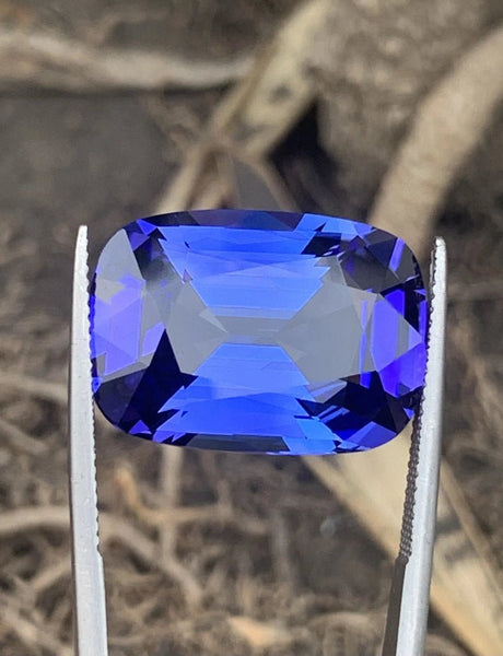 Tanzanite - 23.75 ct