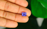 Tanzanite - 2.73 ct