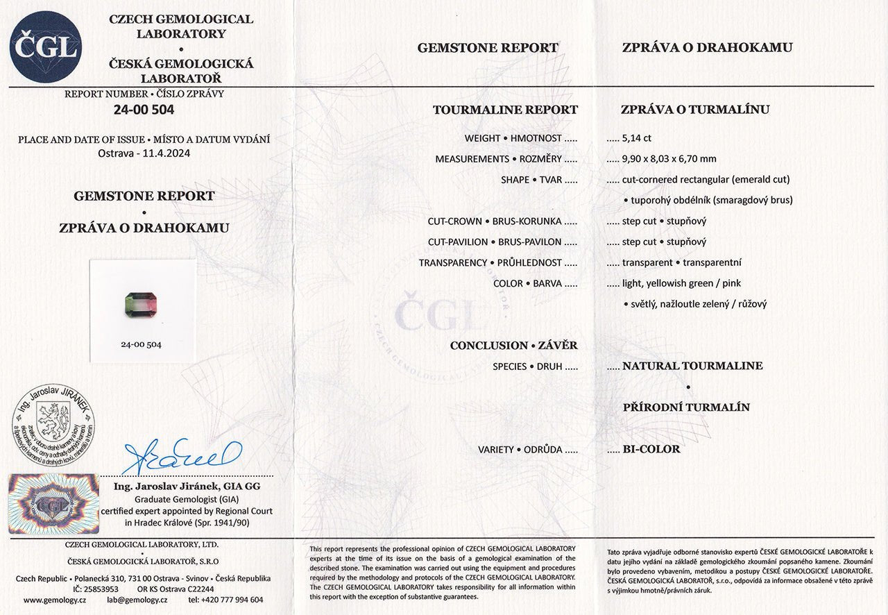 Watermelon Tourmaline - 5.14 ct