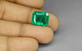Zambia Emerald - 8.84 ct